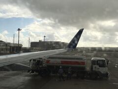 ☆石垣空港☆

１時間のフライドで石垣空港に着陸しました。
飛行機がターミナルに近付くと、突然大粒の雨が降り出しました。
まさかの展開にオーマイガッ！
