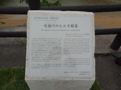 吹通川のヒルギ群落というみたい。
