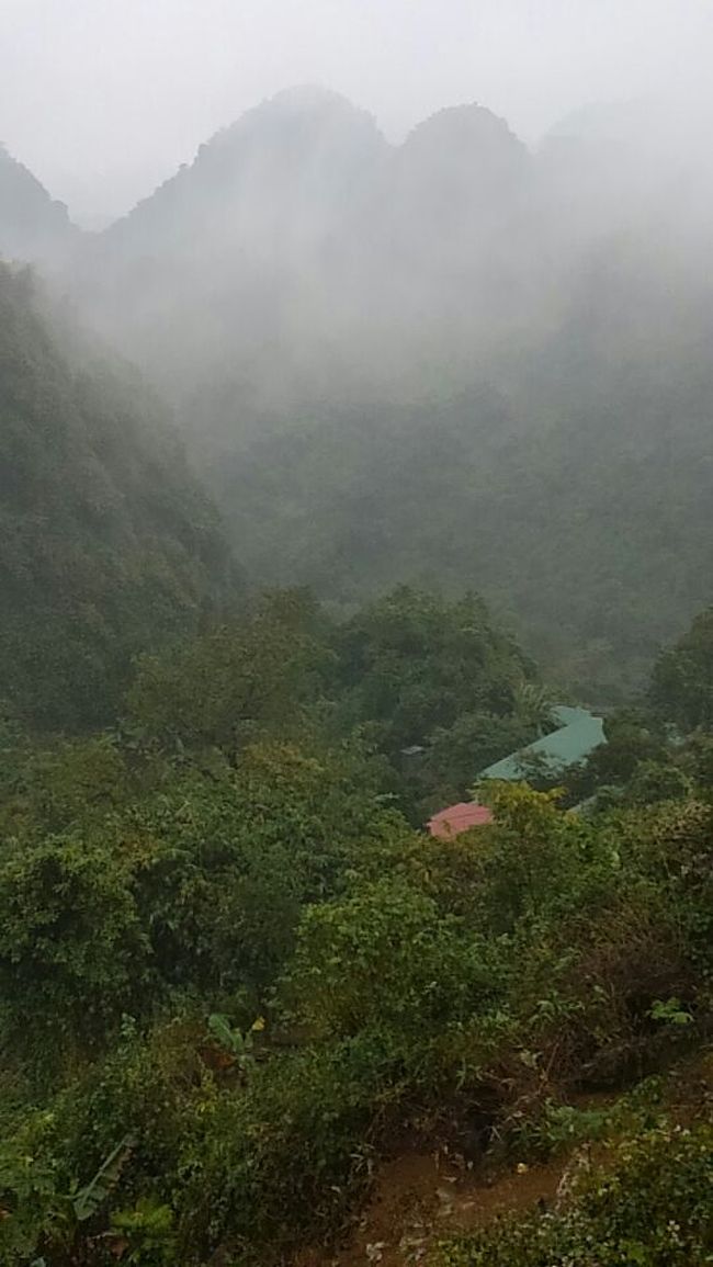 また、参詣道が見えて来た。