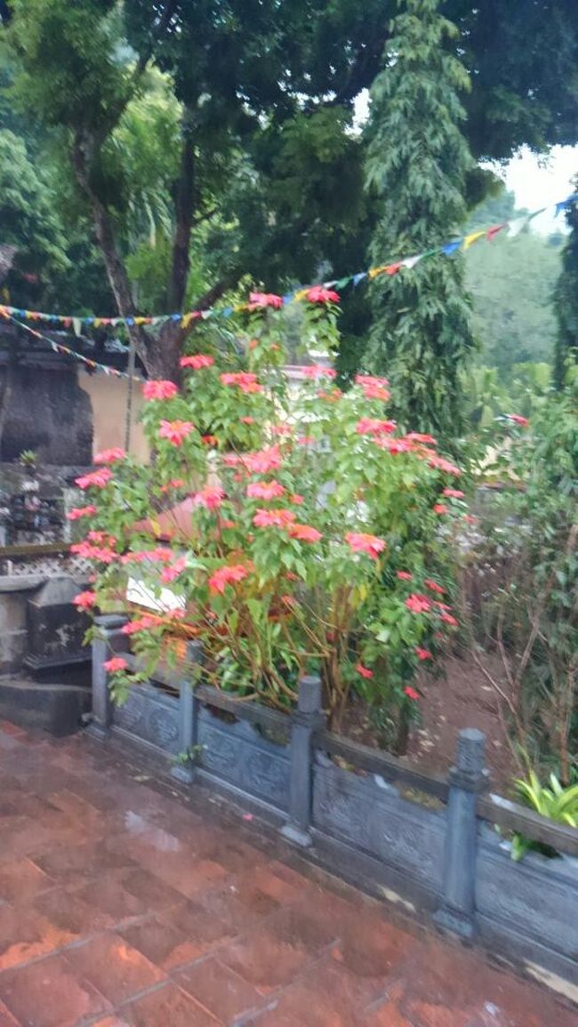 ああ、この花は日本でも見るような花だ。芙蓉の花か・・。この花を眺め、寺を後にする。