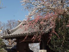 花の寺　石光寺

大和路の二上山のふもとにあり、日本最古の石仏、中将姫伝説、そして牡丹・芍薬の花の寺として知られています。
残念ながら牡丹の時期には早かったのですが、境内は色とりどりのいろいろな花であふれていました。

拝観料　４００円


