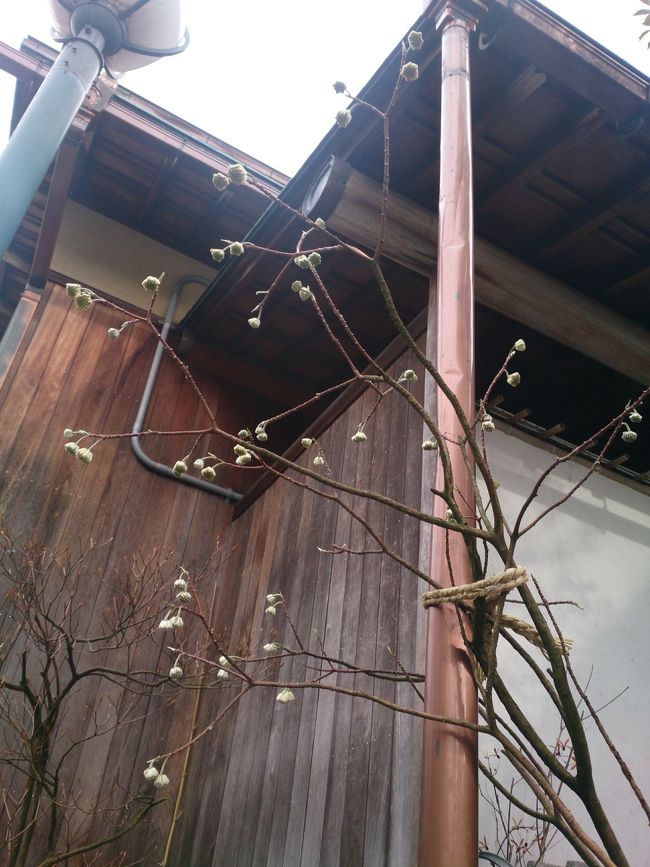 山中温泉では、九谷焼も見たかった。<br /><br />山中塗も有名でいろんなお店があった。<br /><br />その前に小腹が空いたと、主人がちょっといらだってきていたから、たこ焼きとコロッケを食べた。<br /><br />私も、食べられないことはなかったからしっかり食べた。