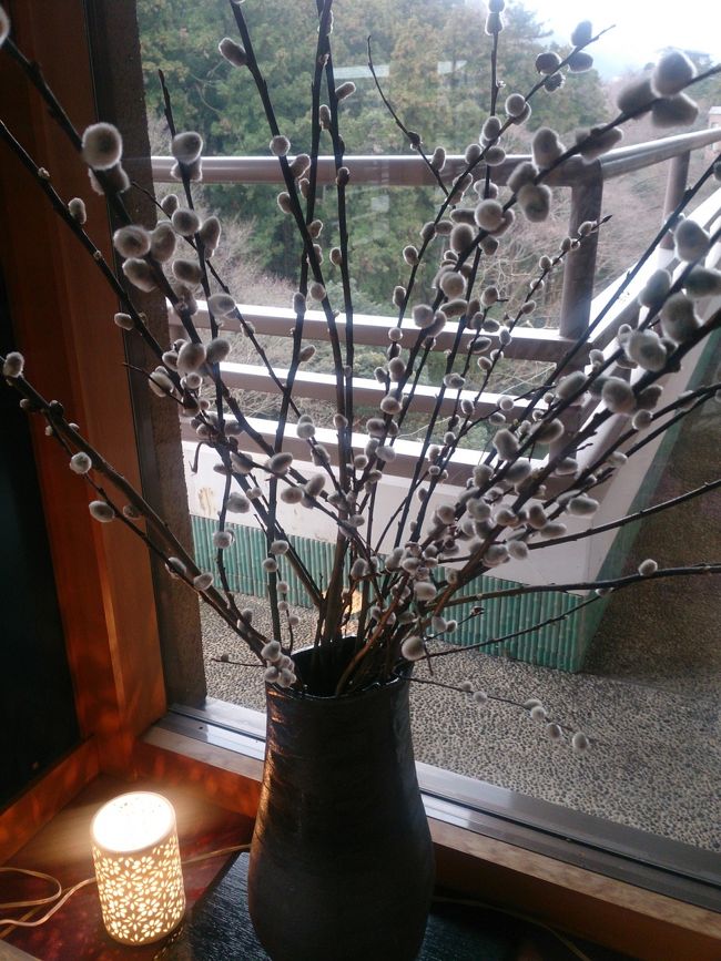 富山の、新湊・氷見で日本海の幸に出会いたい。<br /><br />お宿の猫柳。<br /><br />お世話になりました。<br />