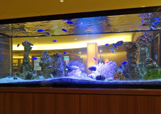 石垣島１泊２日の弾丸ツアー ａｎａインターコンチネンタル石垣 リゾート スパーデラックスに宿泊 ウリウリカフェの絶品ハンバーガー 辺銀食堂のランチいただきました 石垣島 沖縄県 の旅行記 ブログ By ルートマスターさん フォートラベル