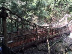 布引公園を過ぎると本格的な山道。
ほどなく蔦の橋が現れます。
一見、徳島の”かずら橋”のようですが、蔦や樹皮で装飾された鋼鉄製の橋です。
先週は真っ直ぐ進み摩耶山に行きましたが、今日は橋を渡って再度山に行きます。