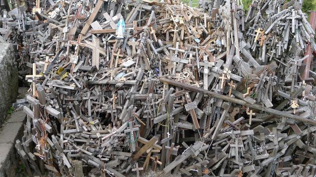 こうした１本１本にも、それぞれの想いが込められているんだなぁ。そんなことを考えながら丘を歩いた。