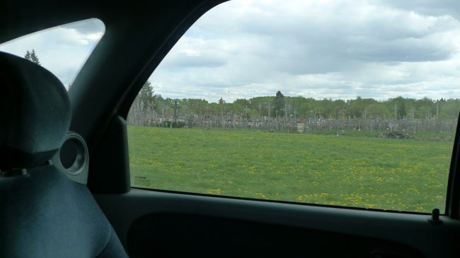 ということでタクシーが発車。車窓からも十字架の列が伸びていることがわかる。<br /><br />運転手さんは英語を話せないので、車内では終始、無言。チーン。