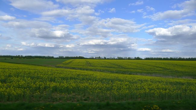こんな景色が割と続くんだけど、なんというか和むんですよね。<br /><br />一つ一つのバス停の間隔はすごく長くて、頻繁には止まらないんだけど、地元の人たちがごく普通に足として利用してた。結局、このバスでも眠ることなく、車窓をぼーっと眺めていた。