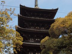 興福寺の五重塔

今回の旅行中で２度目のおめもじです♪



