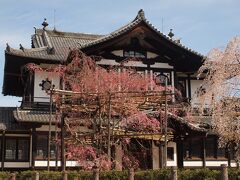  仏教美術資料研究センター前の桜がきれいでした♪

