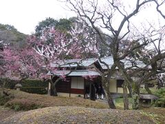 東京では新宿御苑に初めて行ってみました。