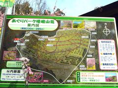 あぐりパーク嵯峨山苑

さらに山の上には「あぐりパーク嵯峨山苑」がある。
看板に釣られて、登って行ったが、急な登りを１０分余りで大変だった。