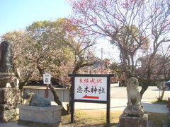 恋の成就水田天満宮「通称恋木神社」