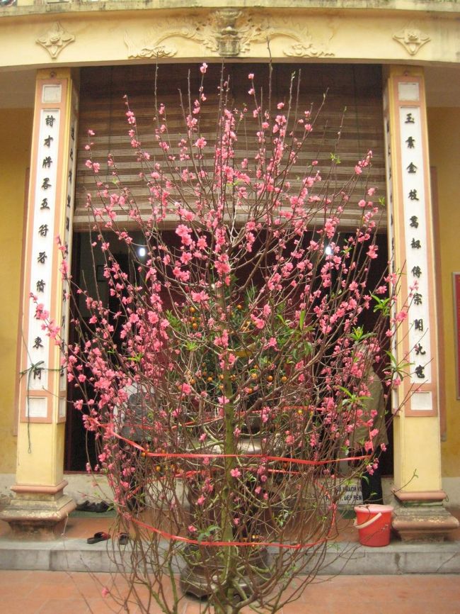 正月の門松代わり