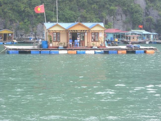 水上で生活してるのかな？<br />ステキ！