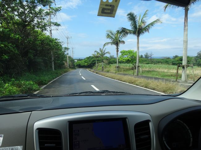 30分も走ると、