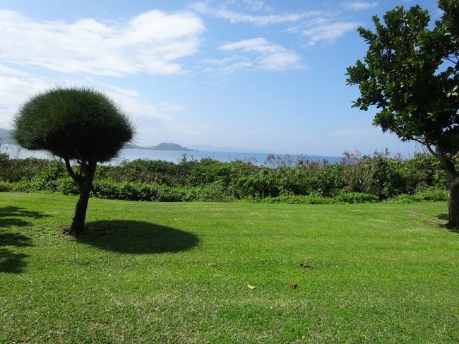 こんなに良い天気になりました。