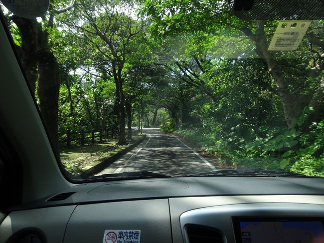 そろそろ空港に向かいます