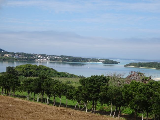 途中で車を止めて一枚。