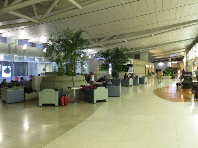 明け方着きました。仁川空港。<br />朝からのトランジットツアーもありましたが、寝不足でそんな体力がありません。<br />仮眠しようにもそこら辺りの椅子やソファー、キッズルームの遊具のあいだでさえも、横になっている人でいっぱいです。<br />シャワーも並んでました。<br />仕方がないので、ラウンジに入って椅子に座り突っ伏す。