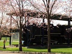栗山公園の夕張鉄道21号蒸気機関車と桜
公園内には、このほかにたくさんの桜があります。

　　　　　　　　　　　入園無料・駐車場あり
　　　　　　　　　　　北海道夕張郡栗山町桜丘2丁目
　