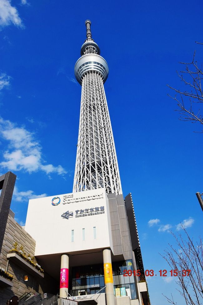 出張ついでの…#29 (^^ゞ 初の東京スカイツリー登頂』浅草(東京