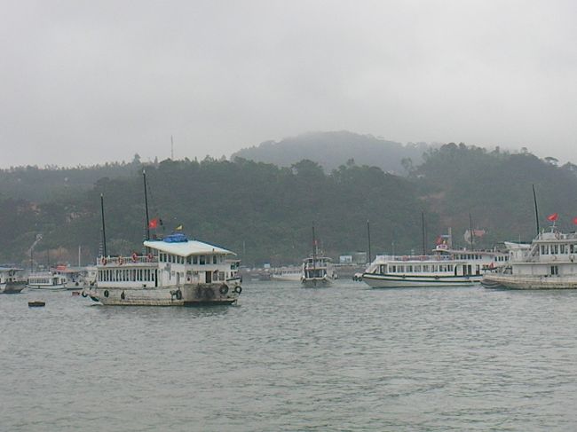 人気のようです。