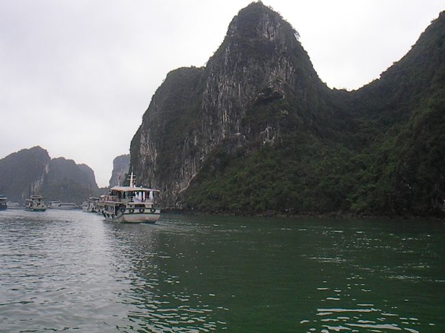 見えてきました。