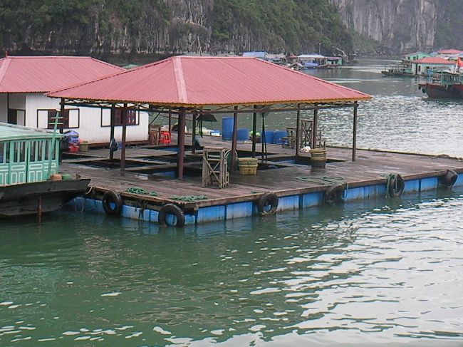 船の上の生活ってどうなんでしょうね。