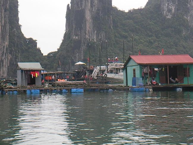 ここで希望者は小型の船に乗り換えて、集落周辺を観光できます。