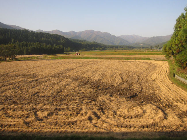 刈り取られた田圃ですが、このような日本らしい風景はいいものです。