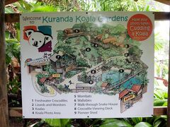 園内はすごくすいてました。
屋根がないので土砂降りの中を歩くことになるからなのか、団体客がいない時間はいつもこんな感じなのか…
わかりませんが、コアラがいるところに着くまで誰にも会いませんでした。