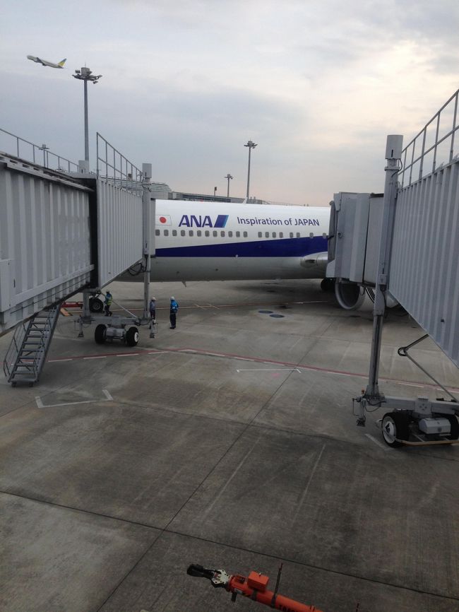 ７６君（Ｂ767）　初めて乗るかな〜<br />位置的に飛行機の全体は撮れませんでした