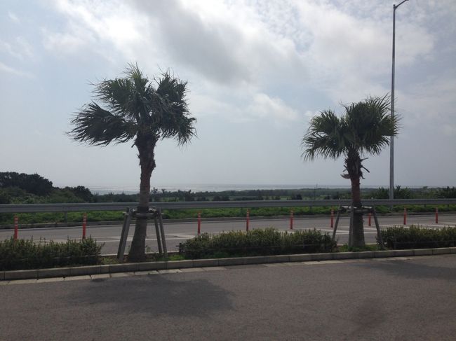 やっぱ南国ですね〜