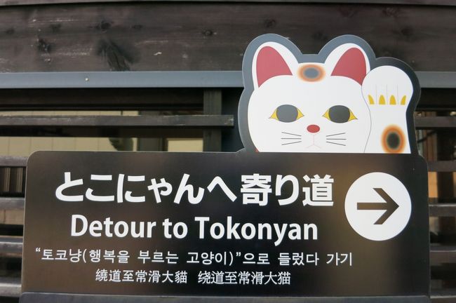 とこにゃんの裏側』常滑・セントレア（中部国際空港）(愛知県)の
