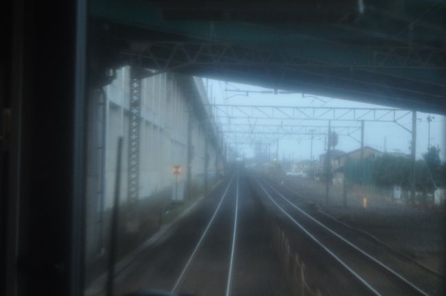 　新幹線高架と並行して走ります。