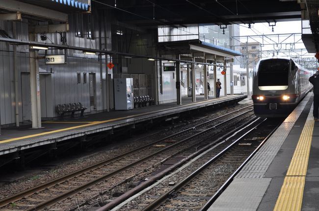 【最終値下】北陸新幹線新潟駅区間しゅん功開業及びえちごトキめき鉄道開業記念 模型 最終値下】北陸新幹線新潟駅区間しゅん功開業及びえちごトキめき