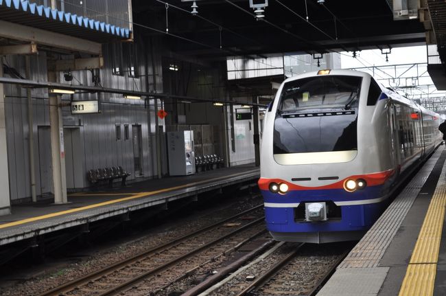 【最終値下】北陸新幹線新潟駅区間しゅん功開業及びえちごトキめき鉄道開業記念 模型 皆様こんばんは！ 4月になり、新年度が始まりましたね。 トキ鉄