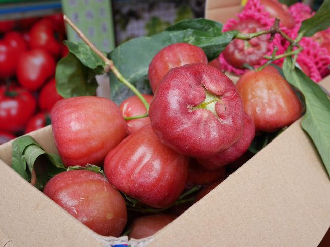 ツアー３日目。朝からバスで台湾最南端を目指します。その途中でこの時期のフルーツ（蓮霧）を試食。リンゴより水っぽいかな。この地域は玉ねぎも有名らしい。