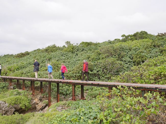 歩きやすくなっています。冬でもそこそこ暖か。さすが沖縄より南ですね。