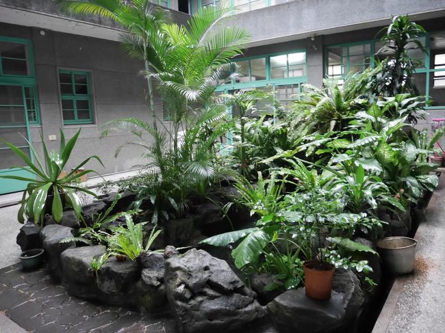 お茶の木など。