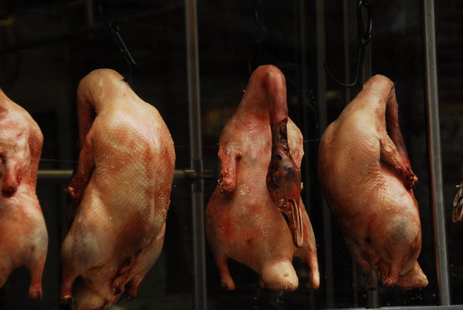 北京ダック食べ放題、3,680円也。<br />食べ放題って…こんな姿でディスプレイされていると食欲が失せる思うのですが…。