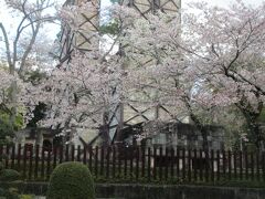 桜が満開の韮山反射炉