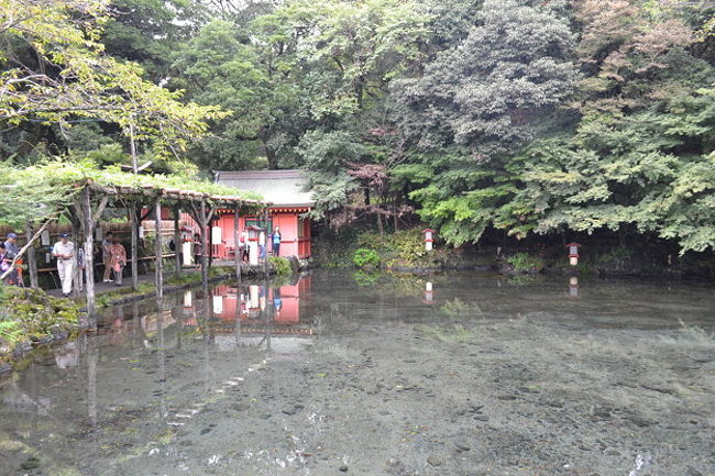 澄んだきれいな池