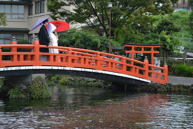 こーゆう所で写真撮影なんて素敵です