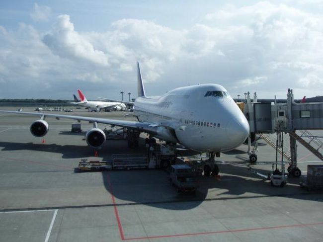 行きのフィリピン航空。<br />朝9時半発、マニラ経由で16:15にセブ島到着の便です。<br />今回はパッケージに3泊追加して7泊8日の旅です。