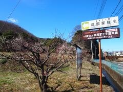 国道５０号で前橋に向って行くと、途中に彦部家住宅の看板があります。

そこから少し入ると見えてきます。