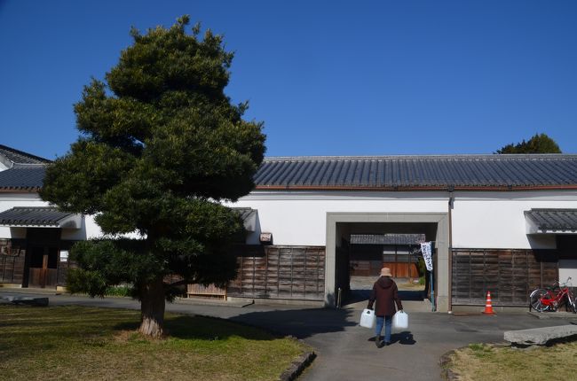 柿田川公園に入園します。<br />入園時間に制限はなく、入園料も無料です。<br /><br />私の前にはポリ容器を手にした地元の人が一人、二人と歩いています。