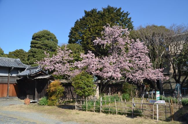 実は泉の館の横には国道一号線があるのです。