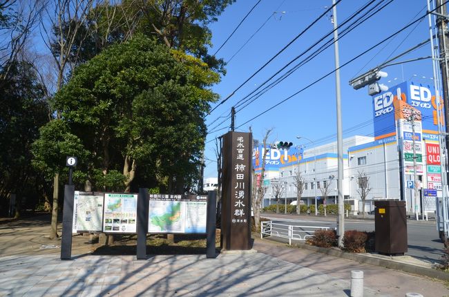 柿田川公園は国道を挟んでショッピンセンターとなっていて買い物途中で息抜きに訪れることができる場所です。